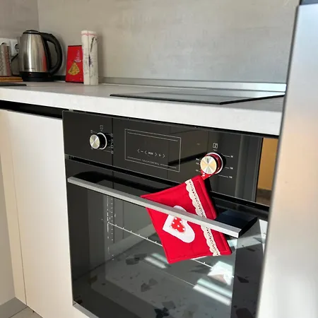 Pirin 30 2br In Citycenter Apartment